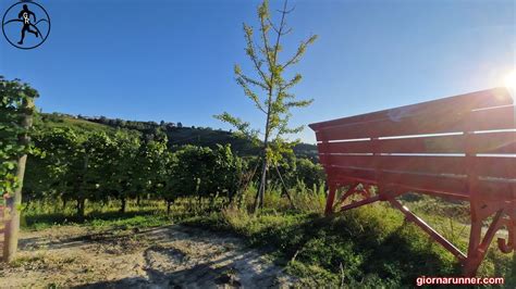 Le Panchine Giganti Nelle Langhe Tototravel It