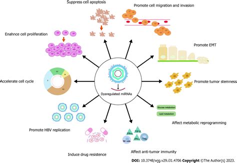 Dysregulated Micrornas As A Biomarker For Diagnosis And Prognosis Of