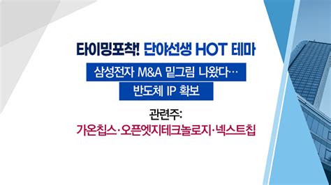 매매의 기술 삼성전자 Manda 준비에 반도체 밸류체인 주목 넥스트칩