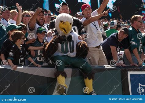 Swoop, Eagles Fans Editorial Photo - Image: 20911316