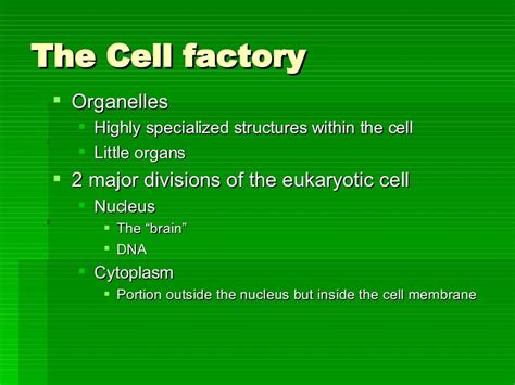 The Cell Factory