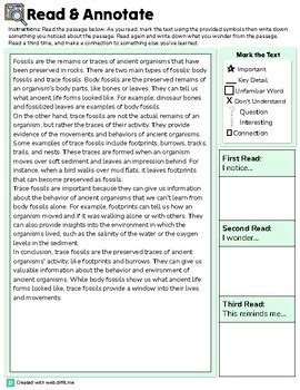 Discuss examples of trace fossils by Good to Know | TPT