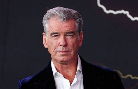 Pierce Brosnan Cited for Allegedly Trespassing at Yellowstone