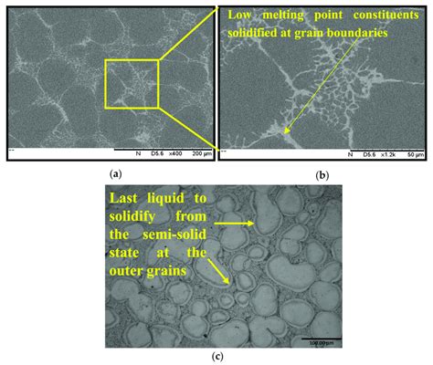 A Scanning Electron Microscopy Image Of Al Alloy Showing The