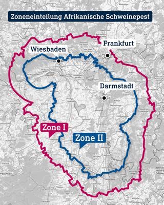 Neue Fälle von Schweinepest im Rheingau Sperrzone ausgeweitet