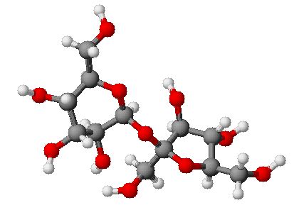 File:Molecule de saccharose.png - Wikimedia Commons