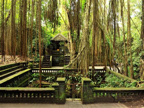 Ubud, Bali 2025 | Ultimate Guide To Where To Go, Eat & Sleep in Ubud