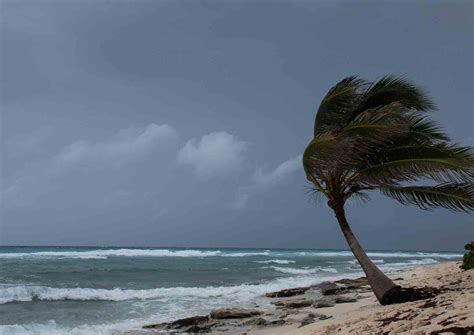 vivre un cyclone à l'Ile Maurice en 2024