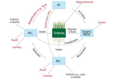 Fertilization Irrigation Strategies Reduce Emissions Conserve Water