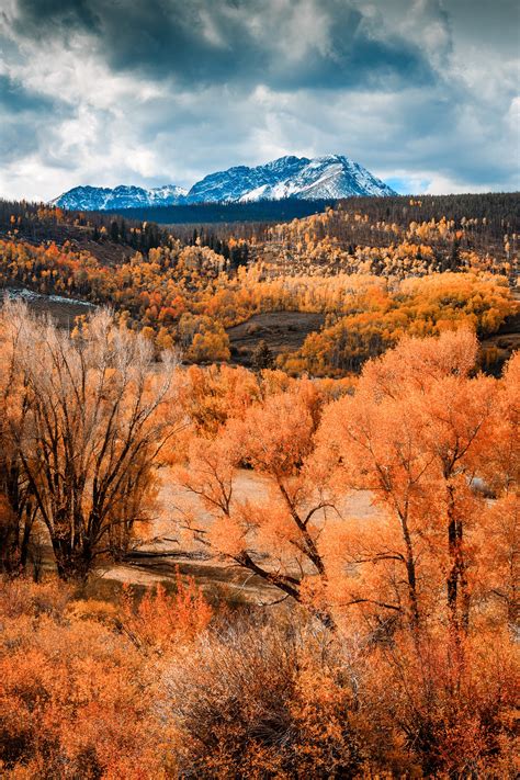 Day 63 – Fall Colors In Colorado | Belinda Shi Photography | Travel ...