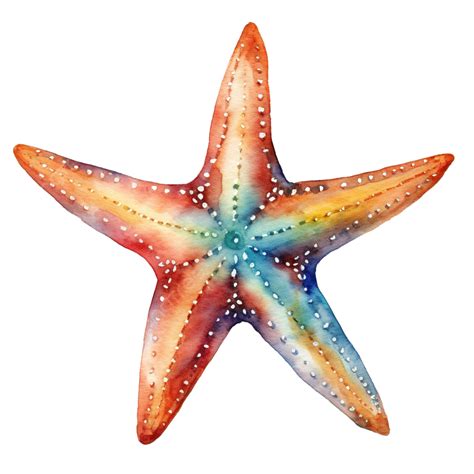 Watercolor Starfish Clip Art Starfish Fish Star Png Transparent