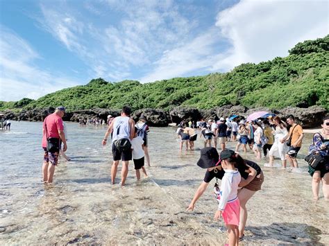 小琉球必玩，潮間帶 海膽 海參 海葵 海星 探索之旅 新魅力旅遊