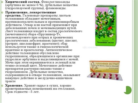 Диуретики растительного происхождения - презентация онлайн
