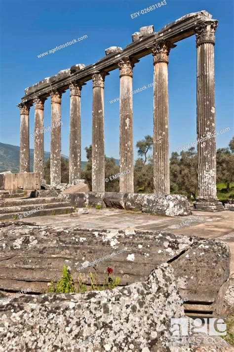 The Temple Of Zeus At Euromos Is To Me The Perfect Ruined Greek Temple