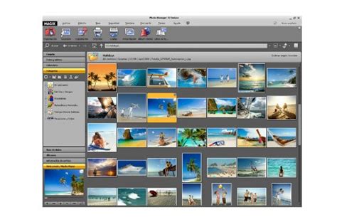 Mejores Programas Para Guardar Organizar Y Crear Un Lbum De Fotos
