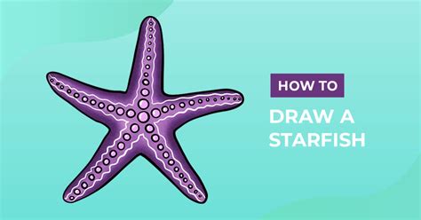 How To Draw A Starfish Design School