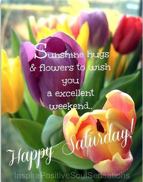 Sunshine Hugs And Flowers To Wish You A Excellent Weekend Happy Saturday