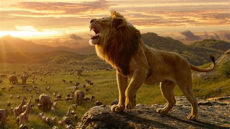 Simba In The Lion King 4k Wallpapers Hd Wallpapers Id 28955