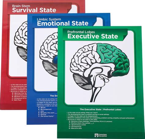 Brain State Poster Set Conscious Discipline State Posters Social