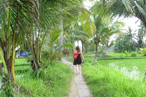 Campuan Ridge Walk Ubud Fabulousubud