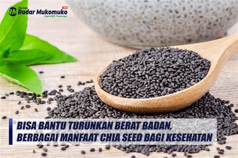 Bisa Bantu Turunkan Berat Badan Inilah Berbagai Manfaat Chia Seed Bagi