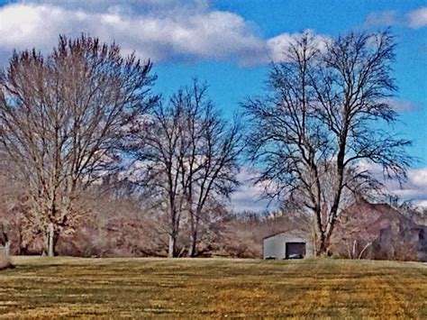 Premium Photo Bare Trees On Grassy Field Against Sky