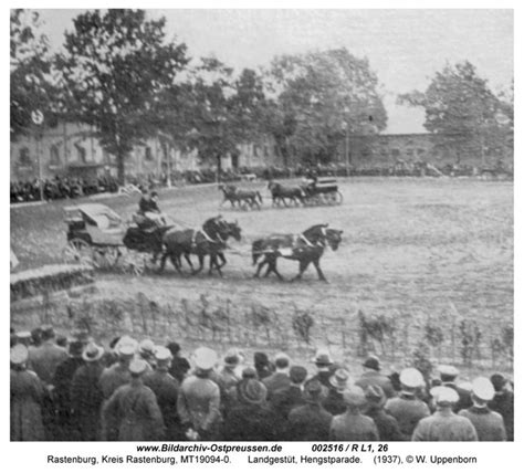 Archiwum Zdj Prusy Wschodnie Rastenburg Landgest T Hengstparade