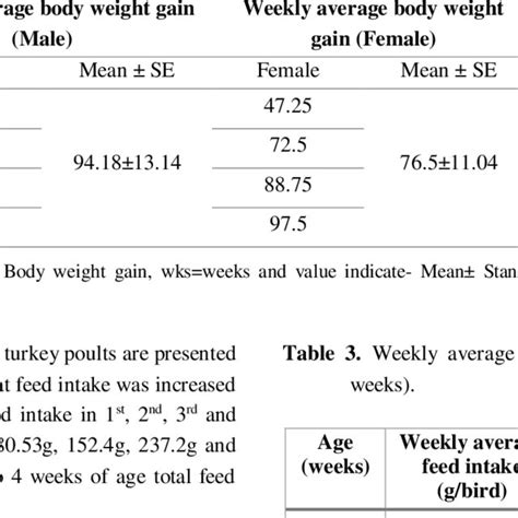 Weight Of Average Turkey - Average Body Weights Of Bronze And White Turkeys G Download Table