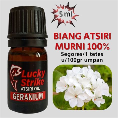 Jual Aneka Essen Biang ATSIRI Oil 5 Ml Dijamin MURNI 100 Lucky