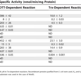 Specific Activity And Kinetic Constants Of Wild Type And Mutant Forms