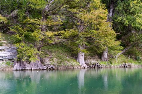 Hiking In San Antonio Trails In Near San Antonio State Parks