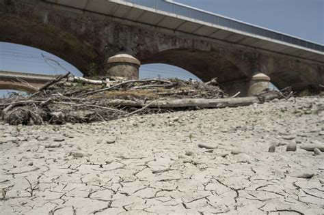 Bologna Impatto E Soluzioni Contro Il Climate Change