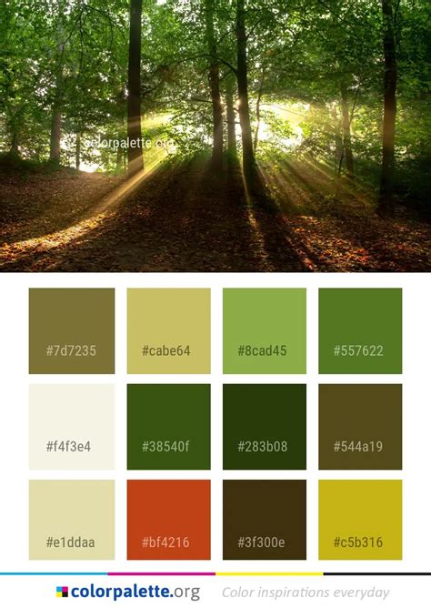 Forest Green Color Palette