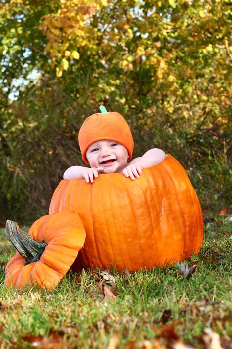 15 of the Cutest DIY Fall Baby Photoshoot Ideas! - The Baby NP