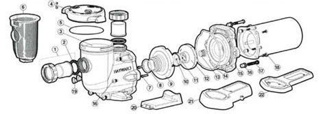 Hayward Superpump Diagram - Wiring Diagram Pictures