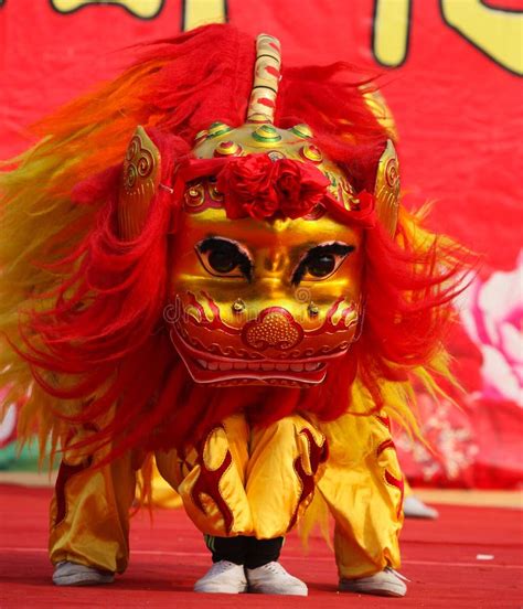 Lion Dance Stock Photo Image Of Outdoors Fair Temple 50777600