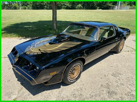 1981 Pontiac Firebird Trans Am Y84 Special Edition Original Survivor