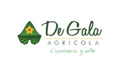 AgroDren Expertos en drenaje agrícola parcelario y riego tecnificado