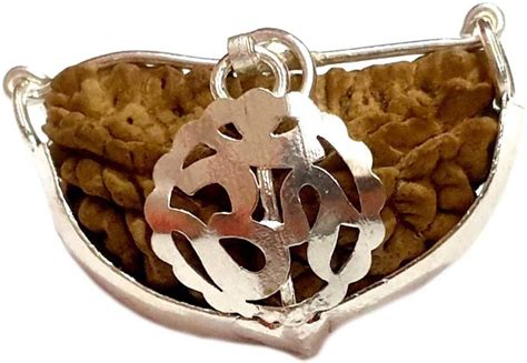 Shiv Kripa Rudraksha 1 Mukhi Half Moon Shaped Rudraksha Wood Silver