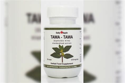 Tawa Tawa Herbal Supplement That Can Help Fight Dengue