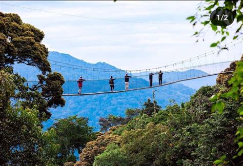 Day Nyungwe National Park And Lake Kivu Safari Safari Vacations