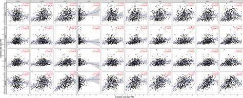 The Correlations Between Distinct Vegfvegfr Genes And Immune