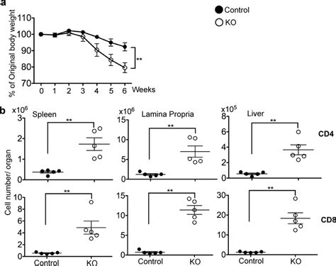 Tgf βrii Ko T Cells Induce Lymphoproliferative Disease In Rag1 − −