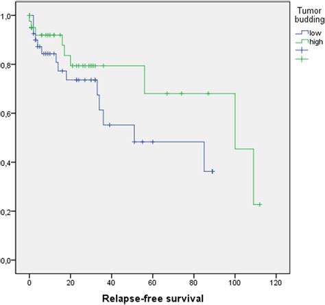 Kaplan Meier Curves Demonstrating Associations Between Tumor Budding