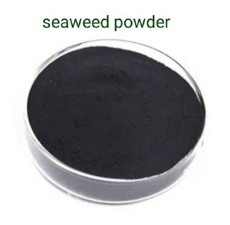 Black Seaweed Extract Powder At Rs 230 Kg Powder Seaweed Fertilizer