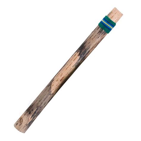 20" Cactus Rainstick - WEPSE990720 | Westco Educational Products ...