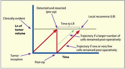 Idealized Graph Relating Tumor Growth Kinetics To The Clinical