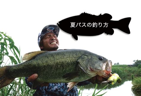 はじめてのバス釣り（夏） Megabass メガバス オンラインショップ