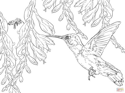 Hummingbird Flower Drawing at GetDrawings | Free download