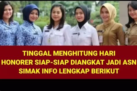 Tinggal Menghitung Hari Honorer Siap Siap Diangkat Jadi ASN Simak Info